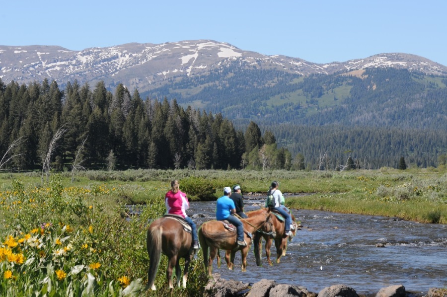 We ride on the ranch as well as in Targhee Nationak Park